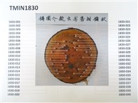 藏品(介殼蟲類)的圖片